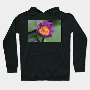 LOTUS Hoodie